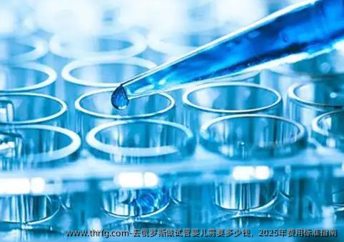 去俄罗斯做试管婴儿需要多少钱，2025年费用标准指南