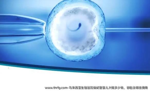 马来西亚生殖医院做试管婴儿大概多少钱，都包含哪些费用