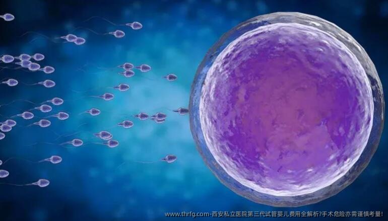 西安私立医院第三代试管婴儿费用全解析?手术危险亦需谨慎考量!
