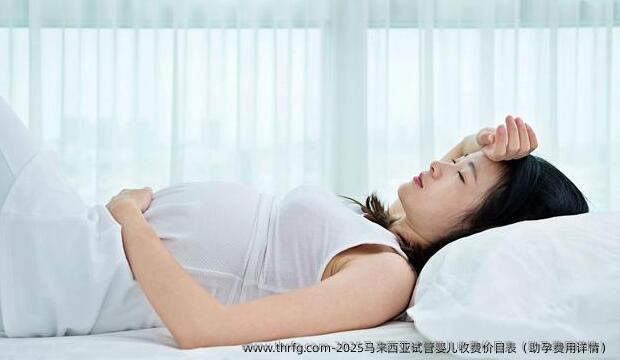 2025马来西亚试管婴儿收费价目表（助孕费用详情）