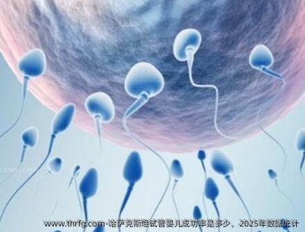 哈萨克斯坦试管婴儿成功率是多少，2025年数据统计