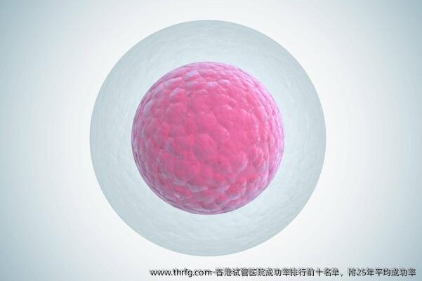 香港试管医院成功率排行前十名单，附25年平均成功率
