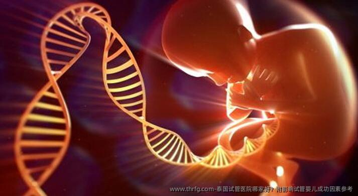 泰国试管医院哪家好？附影响试管婴儿成功因素参考