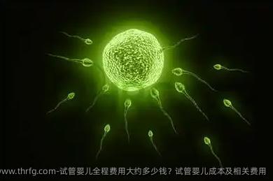 试管婴儿全程费用大约多少钱？试管婴儿成本及相关费用