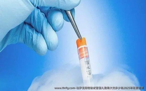 哈萨克斯坦做试管婴儿费用大约多少钱2025年花费预算