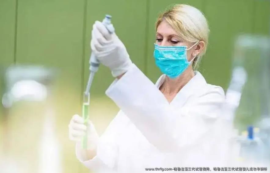 格鲁吉亚三代试管费用，格鲁吉亚三代试管婴儿成功率解析