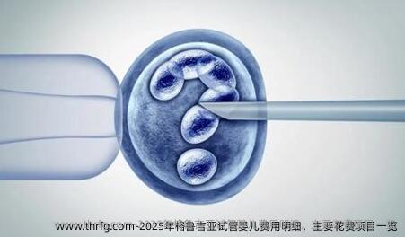 2025年格鲁吉亚试管婴儿费用明细，主要花费项目一览