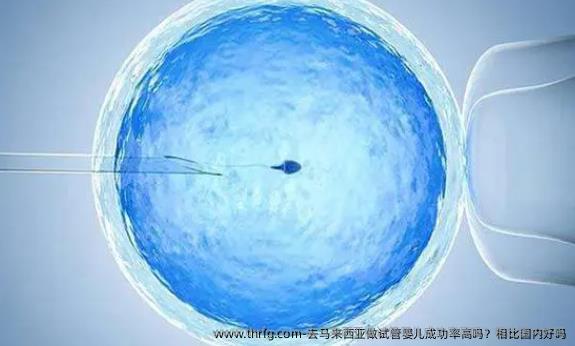 去马来西亚做试管婴儿成功率高吗？相比国内好吗