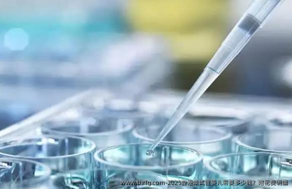 2025香港做试管婴儿需要多少钱？附花费明细