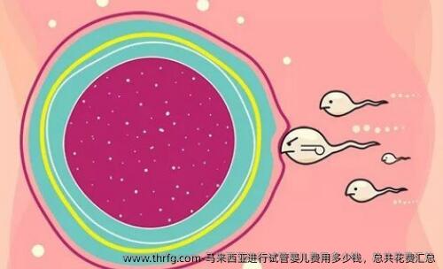 马来西亚进行试管婴儿费用多少钱，总共花费汇总