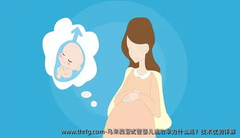 马来西亚试管婴儿成功率为什么高？技术优势详解