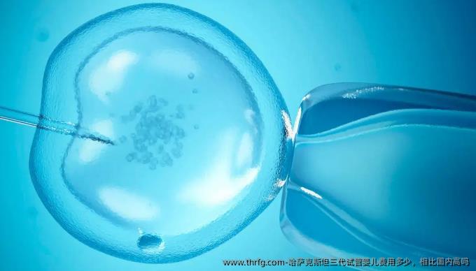 哈萨克斯坦三代试管婴儿费用多少，相比国内高吗
