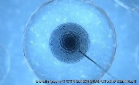吉尔吉斯斯坦试管婴儿技术对比哈萨克斯坦怎么样