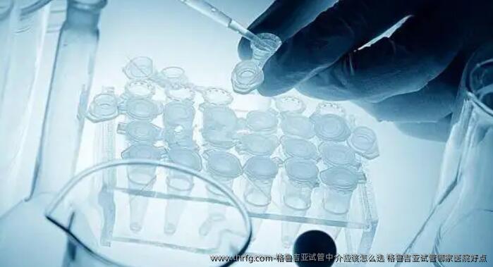 格鲁吉亚试管中介应该怎么选？格鲁吉亚试管哪家医院好点