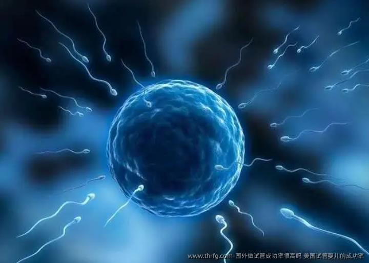 国外做试管成功率很高吗？美国试管婴儿的成功率？