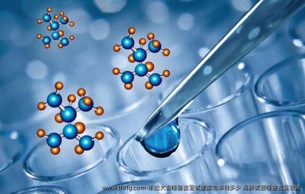 年纪大去格鲁吉亚试管成功率有多少？高龄试管格鲁吉亚攻略