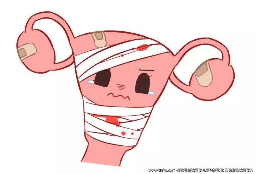 泰国较好试管婴儿医院是哪家？咨询泰国试管婴儿