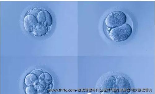 做试管要带什么证件?国内单身女可以做试管吗