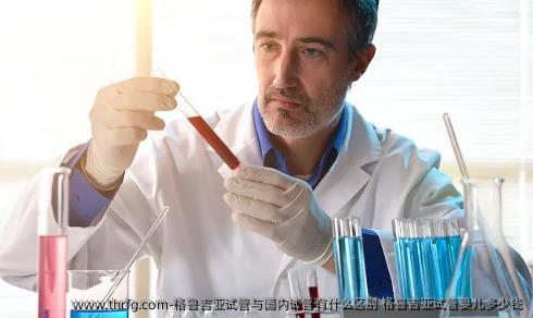 格鲁吉亚试管与国内试管有什么区别?格鲁吉亚试管婴儿多少钱?