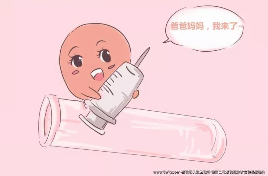 试管婴儿怎么卵泡取出？做第三特需时女性感觉痛吗？