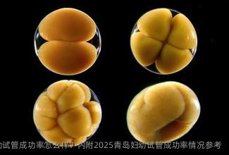 青岛妇幼试管成功率怎么样？内附2025青岛妇幼试管成功率情况参考