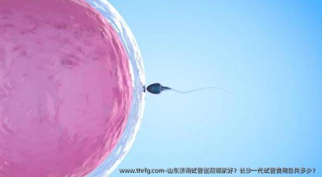 山东济南试管医院哪家好？长沙一代试管费用总共多少？