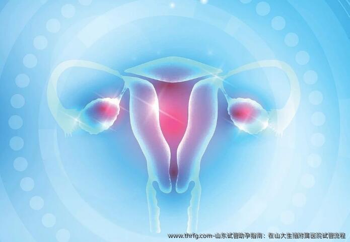 山东试管助孕指南：在山大生殖附属医院试管流程