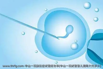 中山一院腺肌症试管成功率(中山一院试管婴儿费用大约多少)
