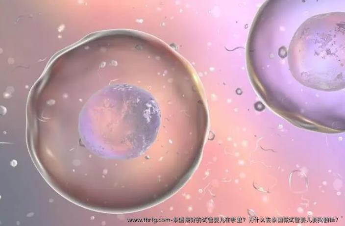 泰国较好的试管婴儿在哪里？为什么去泰国做试管婴儿要找翻译？