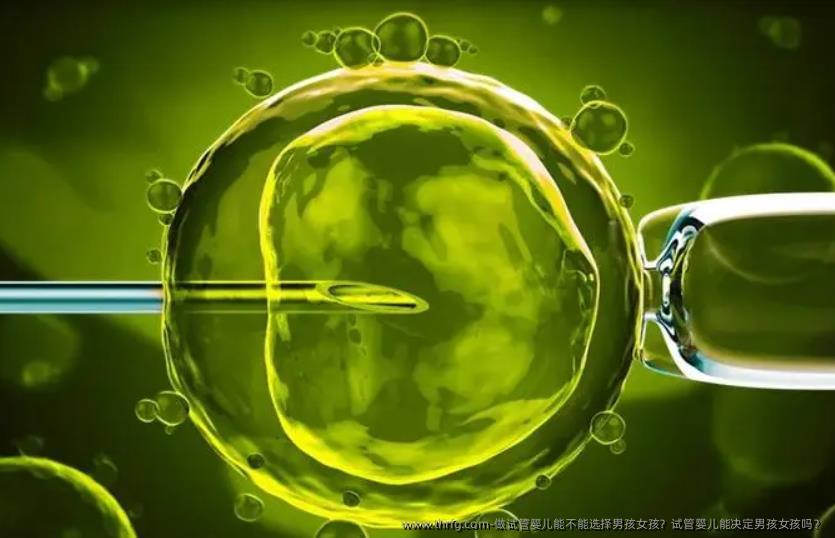 2025年大连试管婴儿费用大约多少钱？试管移植花费预估！