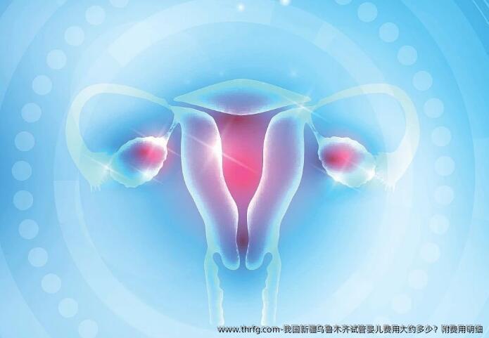 我国新疆乌鲁木齐试管婴儿费用大约多少？附费用明细