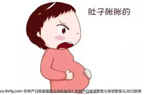农村户口做试管婴儿有补贴吗？农村户口做试管婴儿做试管婴儿2025政策