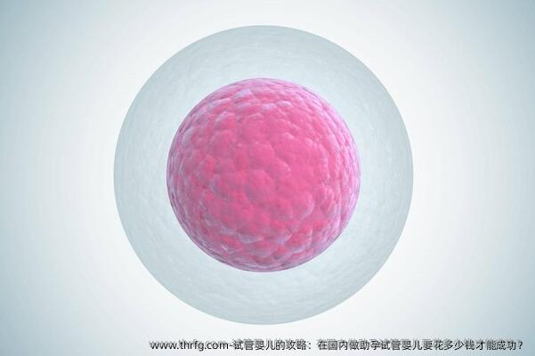 试管婴儿的攻略：在国内做助孕试管婴儿要花多少钱才能成功？