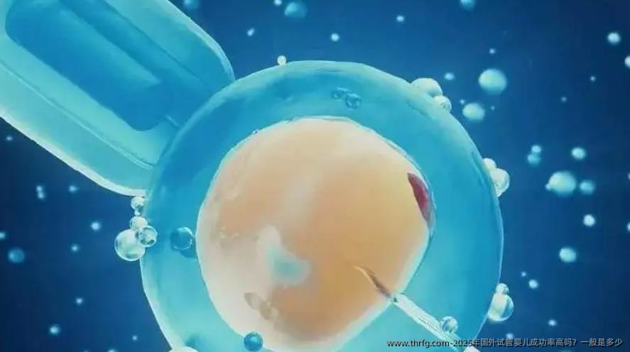 2025年国外试管婴儿成功率高吗？一般是多少