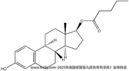 2025年泰国试管婴儿成功率有多高？全球排名