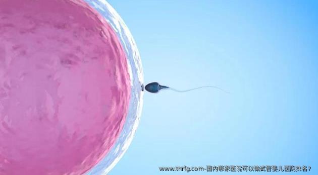 国内哪家医院可以做试管婴儿医院排名？