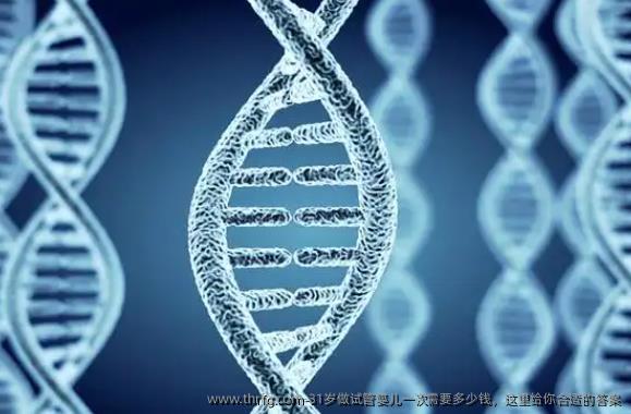 31岁做试管婴儿一次需要多少钱，这里给你合适的答案