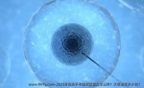 2025年在高平市做试管婴儿怎么样？大概要花多少钱？