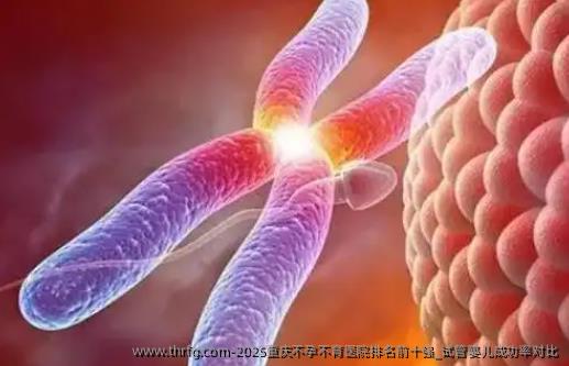 2025重庆不孕不育医院排名前十强_试管婴儿成功率对比