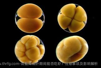 试管降调针期间能否吃虾？注意事项及影响解析