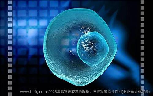 2025年清宫表较准版解析：三步算出胎儿(附正确计算方法)