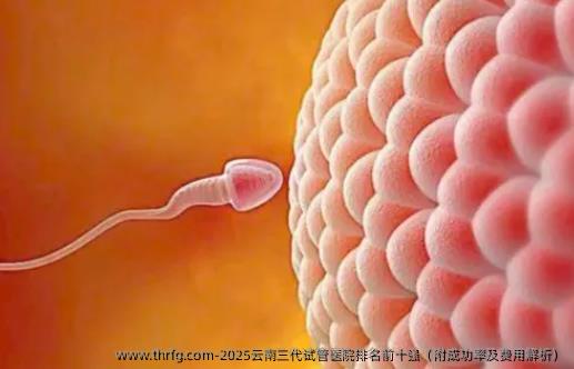 2025云南三代试管医院排名前十强（附成功率及费用解析）