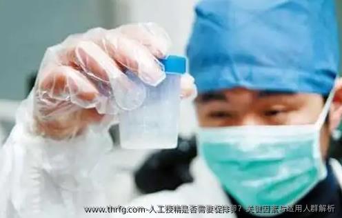 人工授精是否需要促排卵？关键因素与适用人群解析