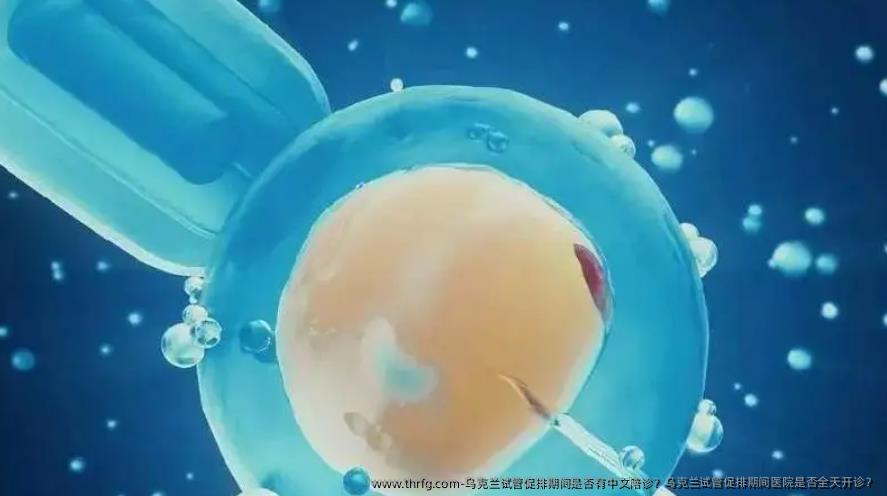 乌克兰试管促排期间是否有中文陪诊？乌克兰试管促排期间医院是否全天开诊？
