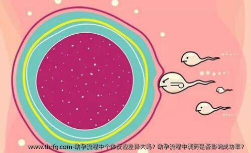 助孕流程中个体反应差异大吗？助孕流程中调药是否影响成功率？