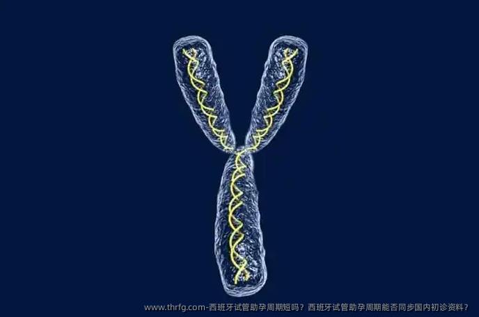 西班牙试管助孕周期短吗？西班牙试管助孕周期能否同步国内初诊资料？