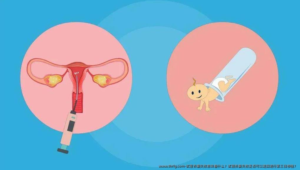试管养囊失败意味着什么？试管养囊失败是否可以退回进行第三日移植？