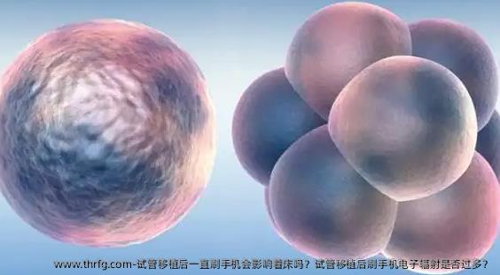 试管移植后一直刷手机会影响着床吗？试管移植后刷手机电子辐射是否过多？