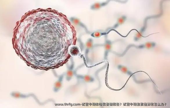 试管中期体检需要做哪些？试管中期激素值异常怎么办？