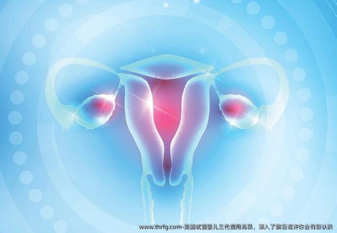 美国试管婴儿三代费用高昂，深入了解后或许你会有新认识